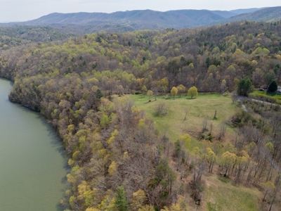 Building Lot for Sale on Claytor Lake - image 8