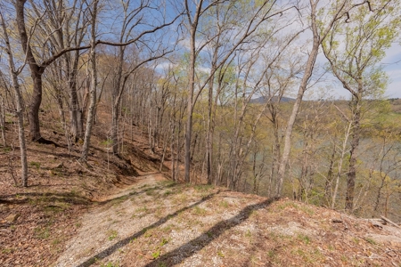 Building Lot for Sale on Claytor Lake - image 33