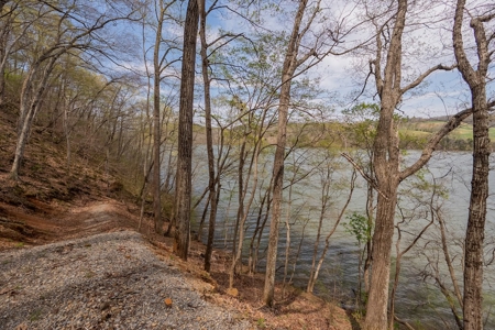 Building Lot for Sale on Claytor Lake - image 35