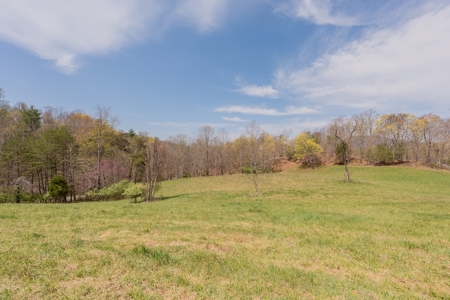 Building Lot for Sale on Claytor Lake - image 23