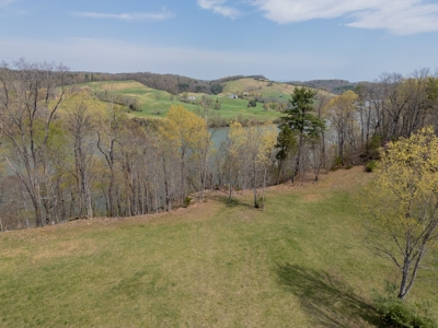Building Lot for Sale on Claytor Lake - image 2