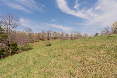 Building Lot for Sale on Claytor Lake - image 45