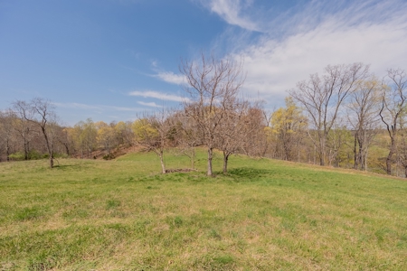 Building Lot for Sale on Claytor Lake - image 28
