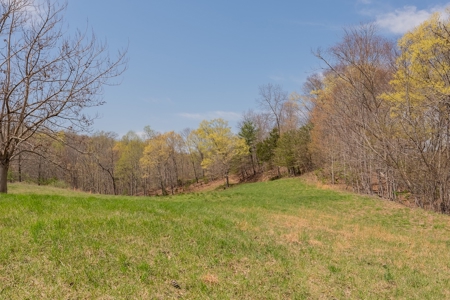 Building Lot for Sale on Claytor Lake - image 29