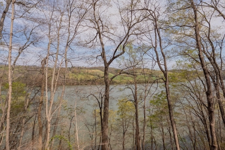 Building Lot for Sale on Claytor Lake - image 39