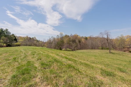 Building Lot for Sale on Claytor Lake - image 27