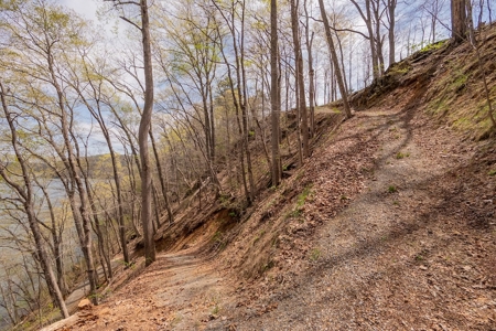 Building Lot for Sale on Claytor Lake - image 34