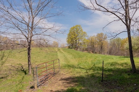 Building Lot for Sale on Claytor Lake - image 17