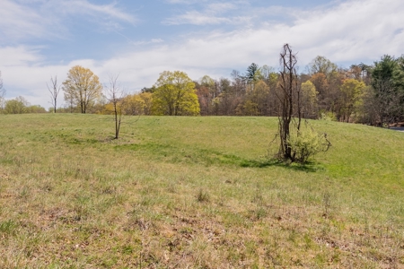 Building Lot for Sale on Claytor Lake - image 43