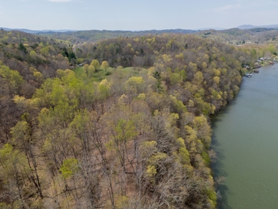 Building Lot for Sale on Claytor Lake - image 13