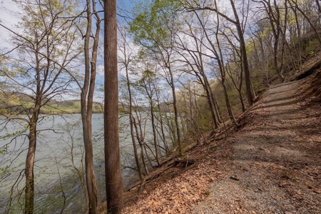 Building Lot for Sale on Claytor Lake - image 36