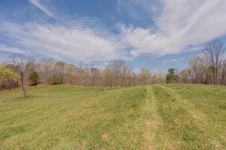 Building Lot for Sale on Claytor Lake - image 26