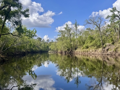 Riverfront Property For Sale in Madison County, FL! - image 6
