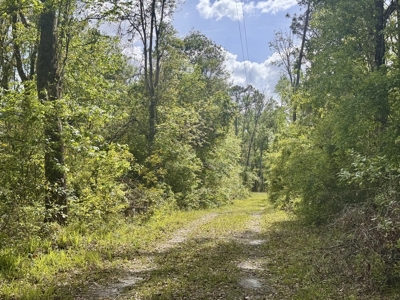 Riverfront Property For Sale in Madison County, FL! - image 17