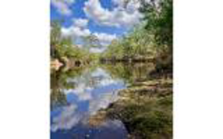 Acreage For Sale in Madison County, FL! - image 16