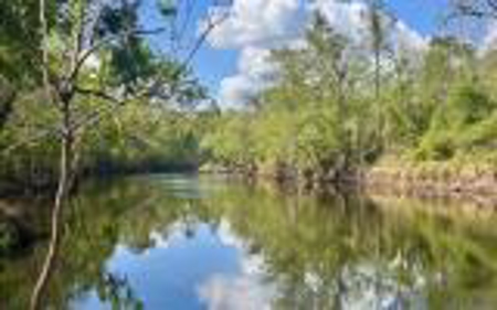 Acreage For Sale in Madison County, FL! - image 1