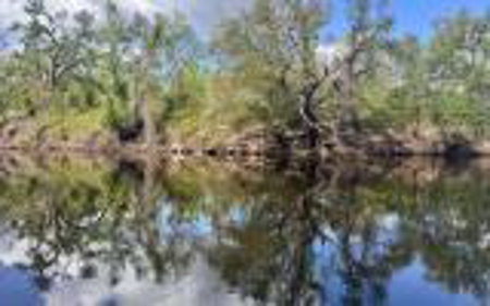 Acreage For Sale in Madison County, FL! - image 15
