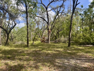 Riverfront Property For Sale in Madison County, FL! - image 16