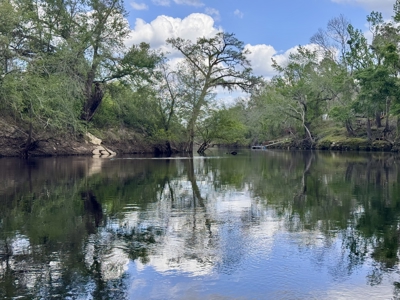 Riverfront Property For Sale in Madison County, FL! - image 20