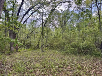 Riverfront Property For Sale in Madison County, FL! - image 22
