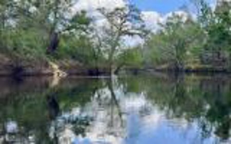 Acreage For Sale in Madison County, FL! - image 11