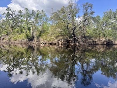 Riverfront Property For Sale in Madison County, FL! - image 5