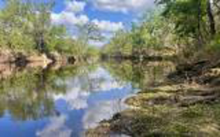 Acreage For Sale in Madison County, FL! - image 14