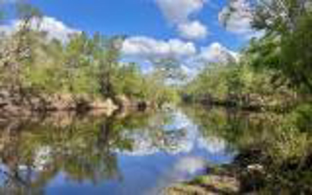 Acreage For Sale in Madison County, FL! - image 17