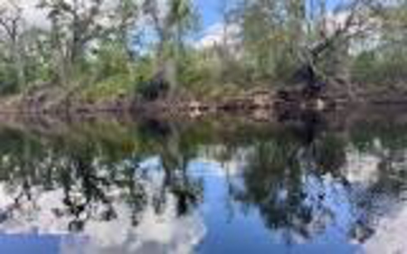 Acreage For Sale in Madison County, FL! - image 13