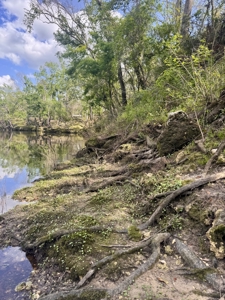 Riverfront Property For Sale in Madison County, FL! - image 3