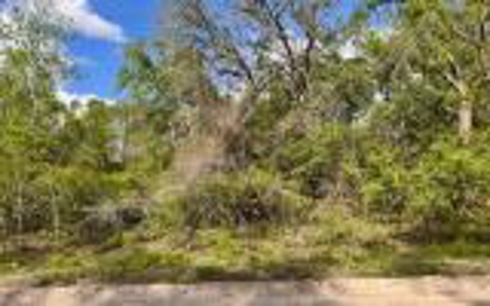 Acreage For Sale in Madison County, FL! - image 4