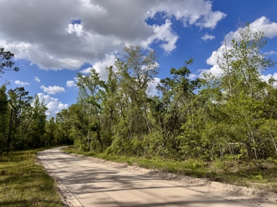 Riverfront Property For Sale in Madison County, FL! - image 30