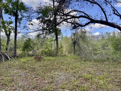 Riverfront Property For Sale in Madison County, FL! - image 21