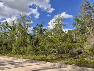 Riverfront Property For Sale in Madison County, FL! - image 31