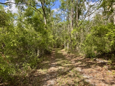 Riverfront Property For Sale in Madison County, FL! - image 28