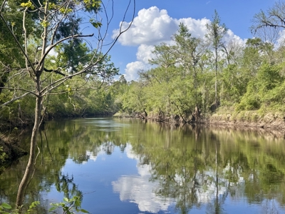 Riverfront Property For Sale in Madison County, FL! - image 2