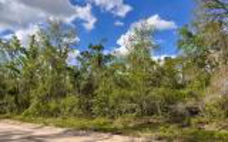 Acreage For Sale in Madison County, FL! - image 2