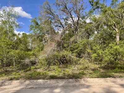 Riverfront Property For Sale in Madison County, FL! - image 33