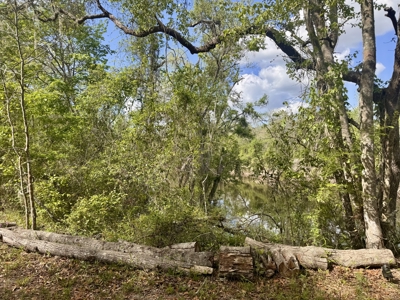 Riverfront Property For Sale in Madison County, FL! - image 15