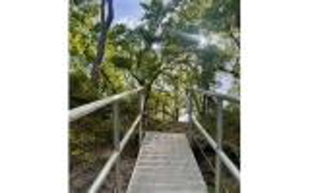 Acreage For Sale in Madison County, FL! - image 9