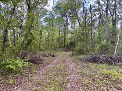 Riverfront Property For Sale in Madison County, FL! - image 25