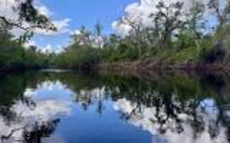 Acreage For Sale in Madison County, FL! - image 12