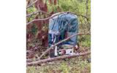 Acreage For Sale in Madison County, FL! - image 21