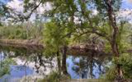 Acreage For Sale in Madison County, FL! - image 18