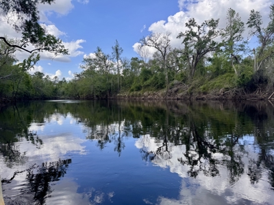 Riverfront Property For Sale in Madison County, FL! - image 18