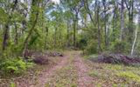 Acreage For Sale in Madison County, FL! - image 3