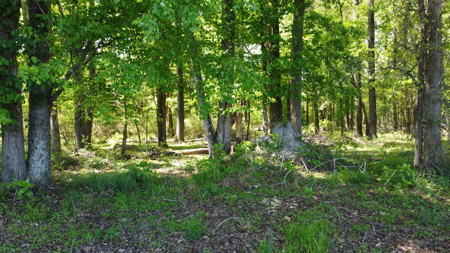 Prime 364-Acre Hunting Land with Creek & ATV Trails! - image 35