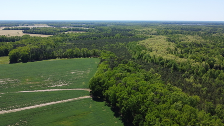 Prime 364-Acre Hunting Land with Creek & ATV Trails! - image 31