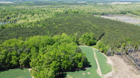 Prime 364-Acre Hunting Land with Creek & ATV Trails! - image 32