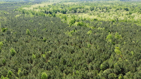 Prime 364-Acre Hunting Land with Creek & ATV Trails! - image 17